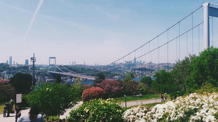 Fatih korusu