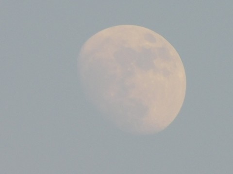 Moon at Day