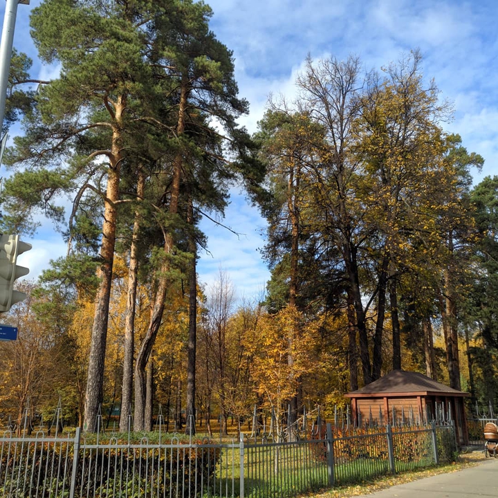 Осень в Москве