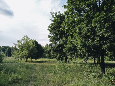 Nature