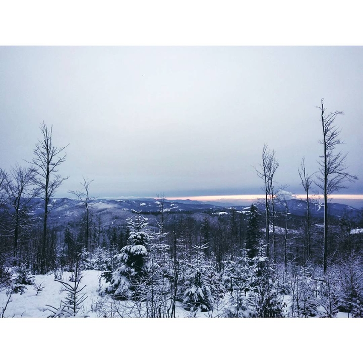winter morning