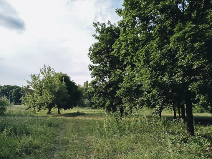 Nature