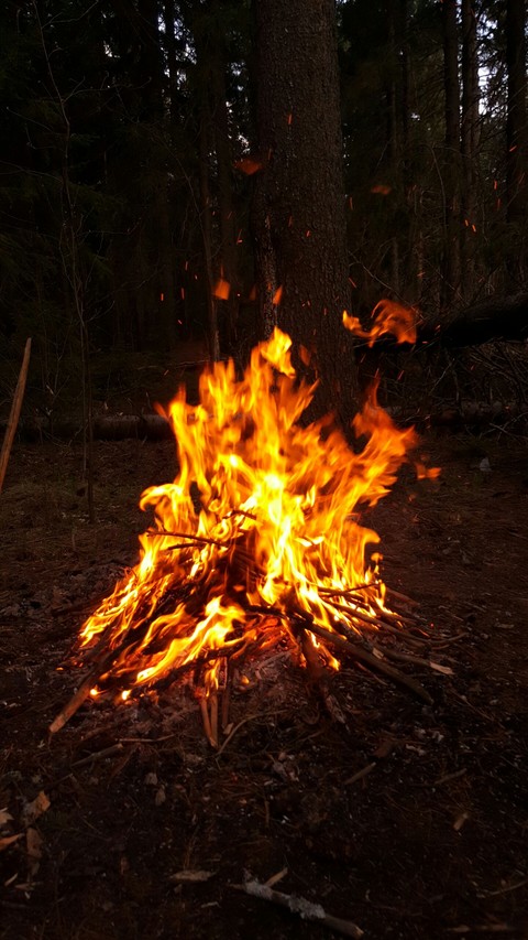 bonfire