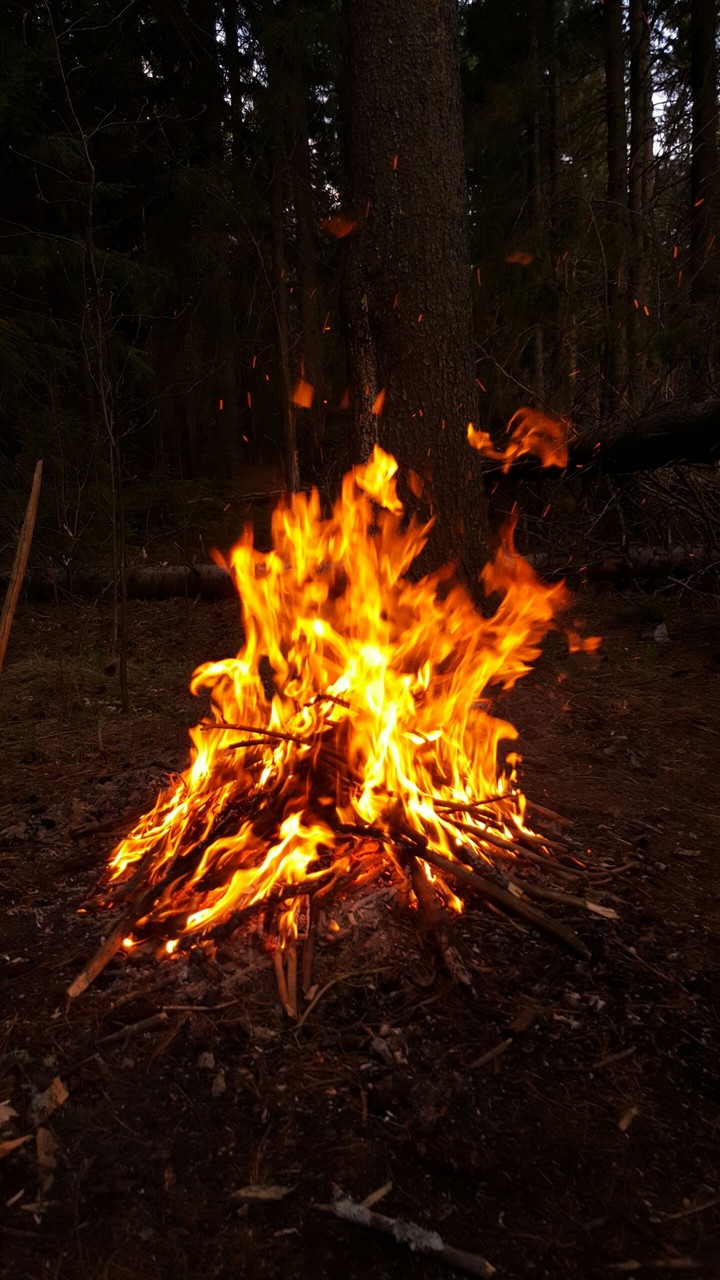 bonfire