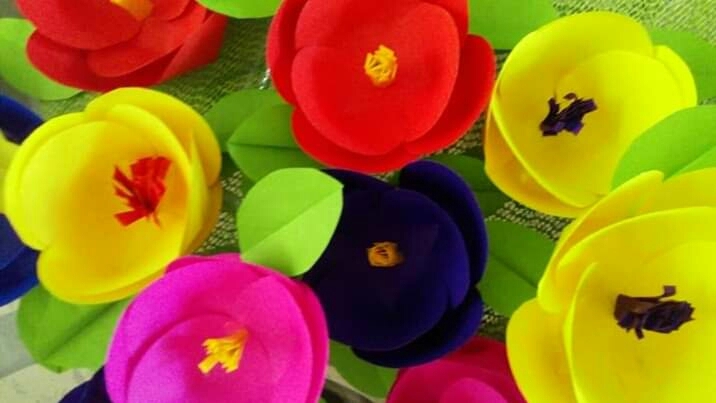 flores