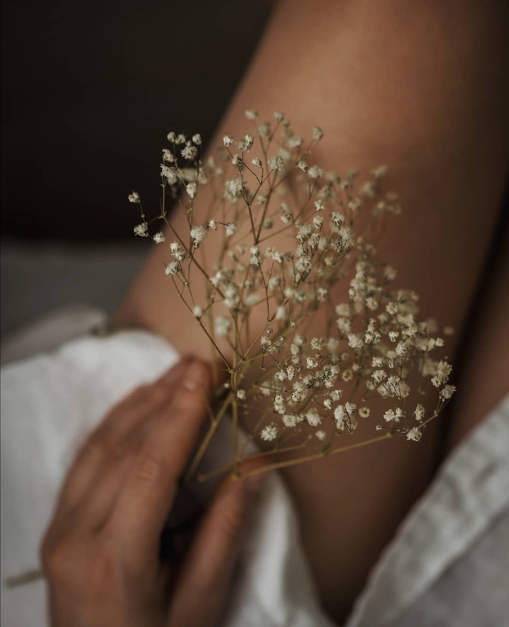 ✨