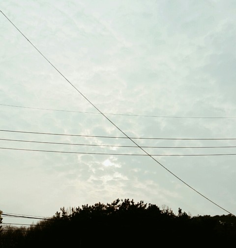 evening