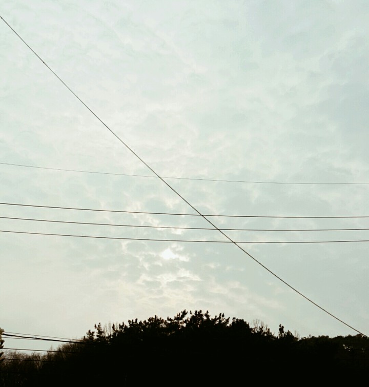 evening