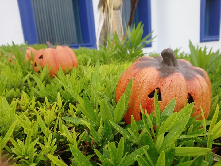 Halloween