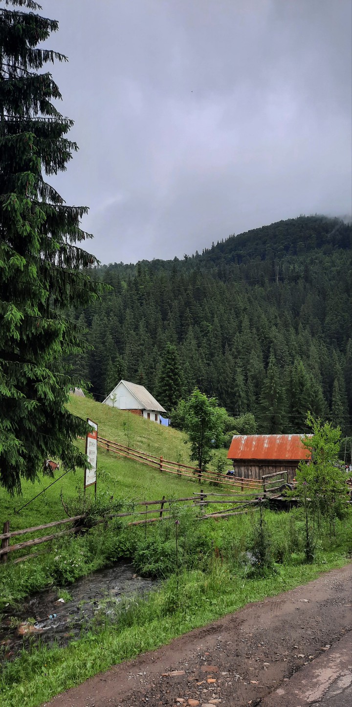 MOUNTAINS