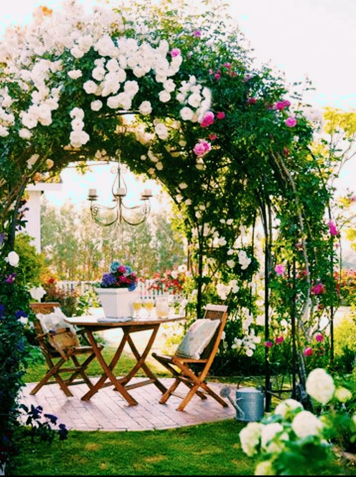 bower of Roses