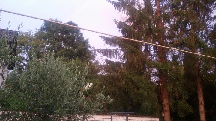 after rain
