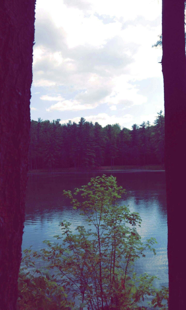 park with a pond