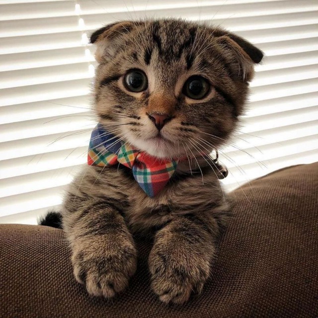 ❤