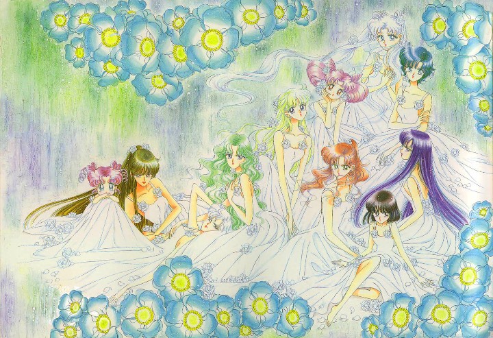 Pretty guardian sailor moon