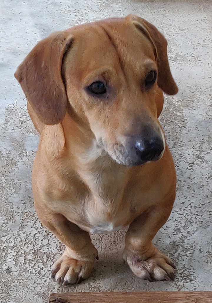 hello! when it is my turn?