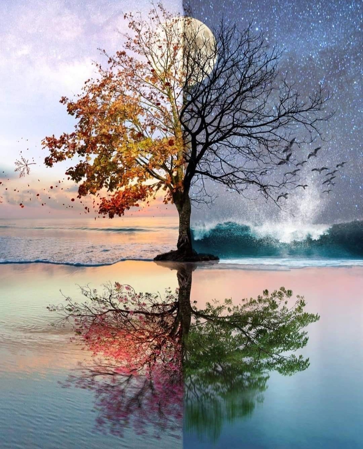 4 seasons