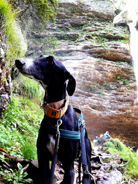 Balthasar