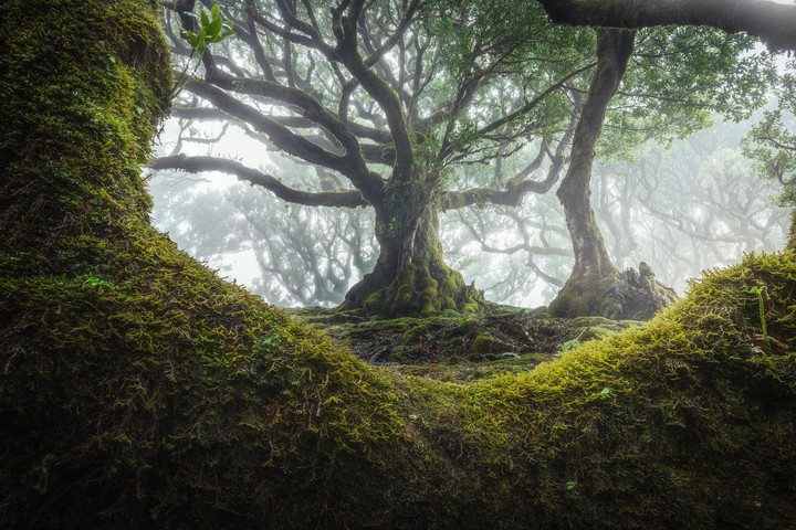 Madeira, Portugal