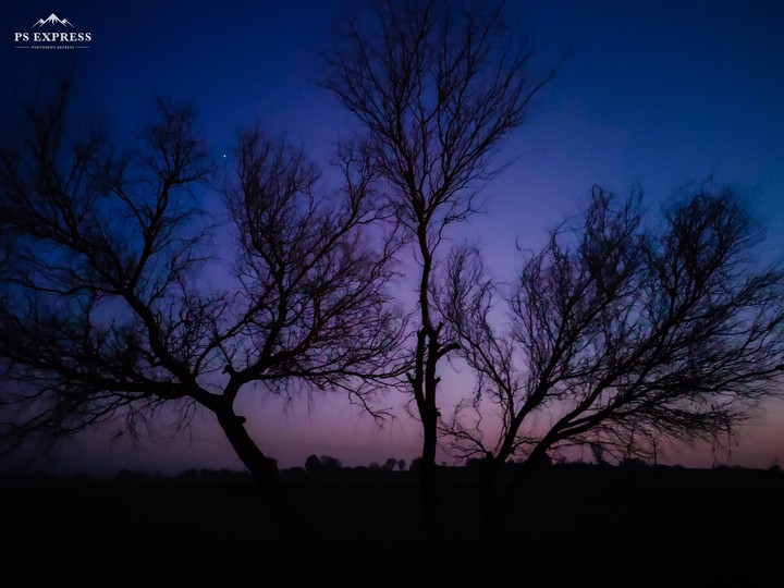 evening