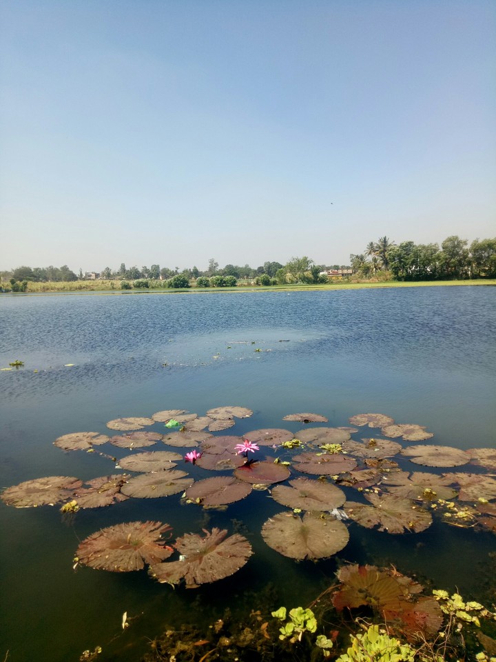 vadinge @kolhapur