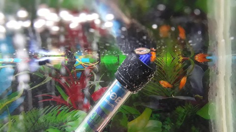 aquarium