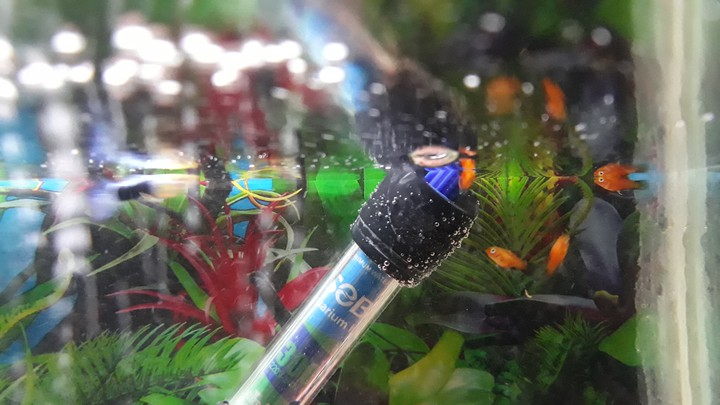 aquarium