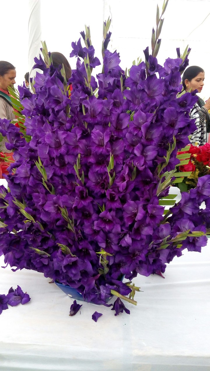 Flowers