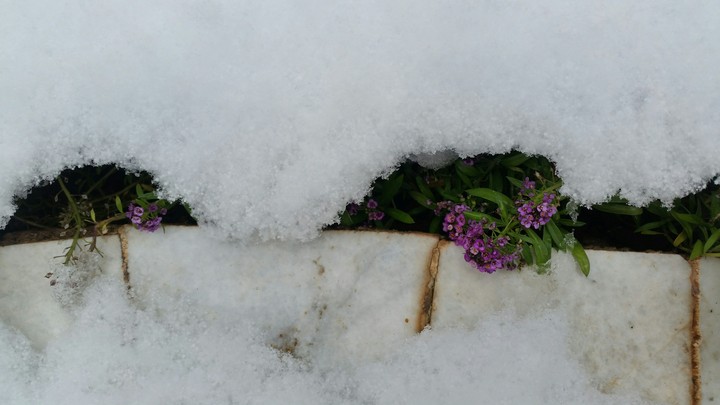 SOME WHERE FALL AND WINTER COME TOGETHER