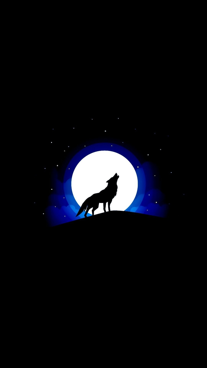 dark wolf