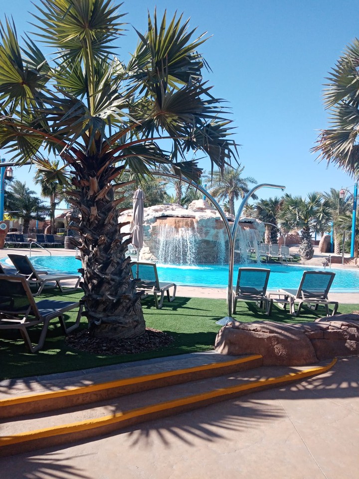 Adults Pool