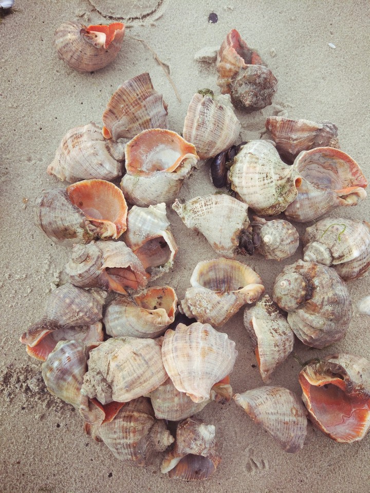 Море