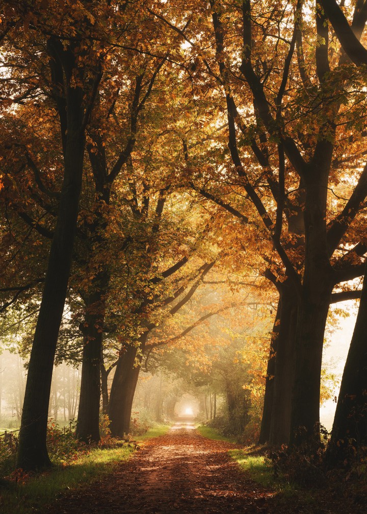 The autumn
