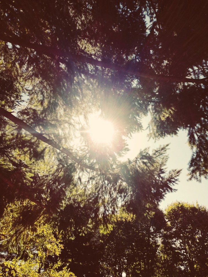 September sun