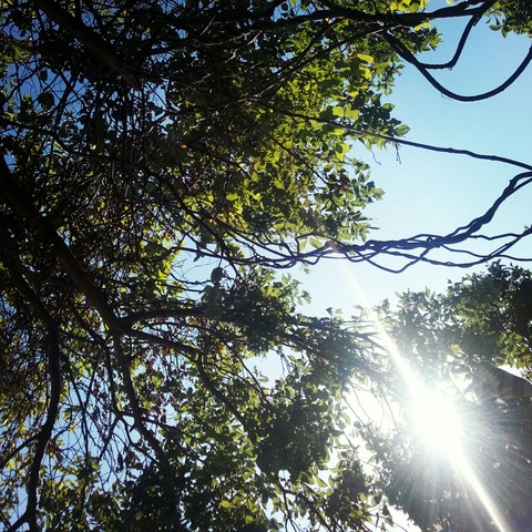 summer