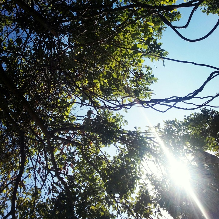 summer