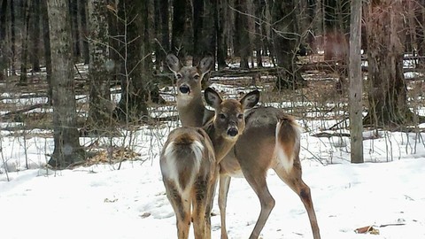 A Mother and Her Young Son