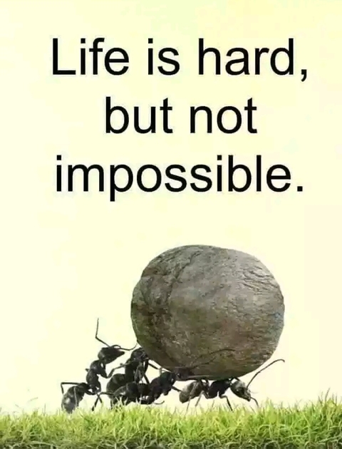 truth of life