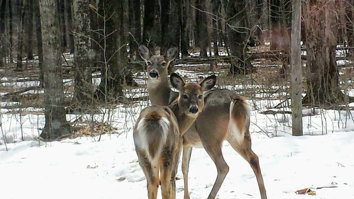 A Mother and Her Young Son