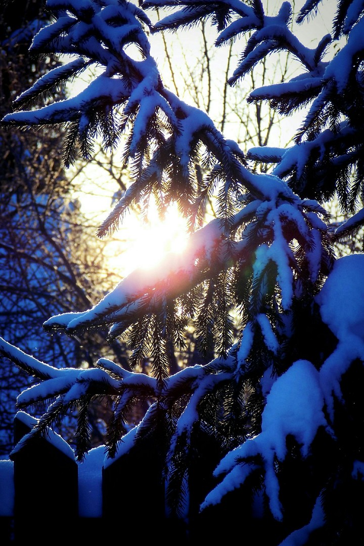 sun