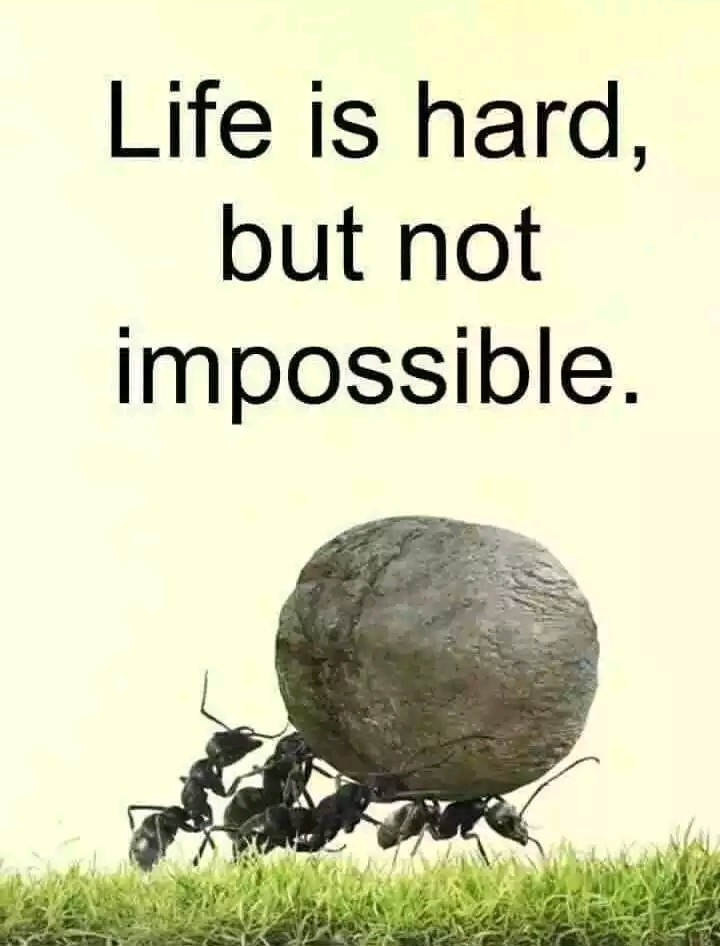 truth of life