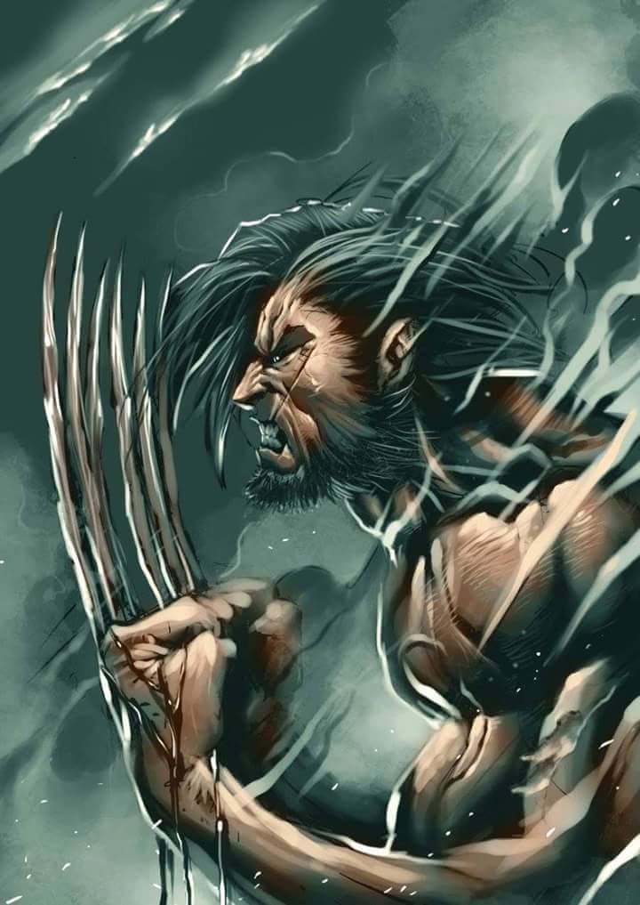 Wolverine
