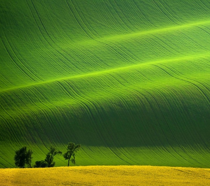 природа