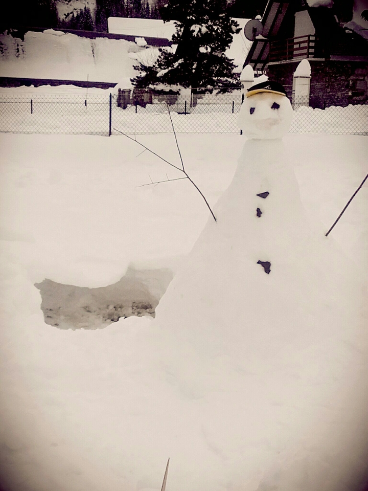 snow man