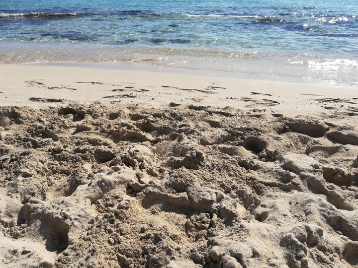beach