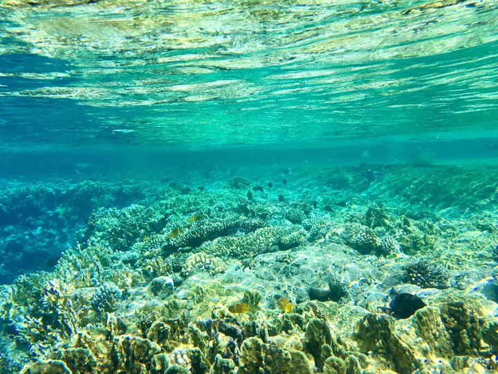 под водой