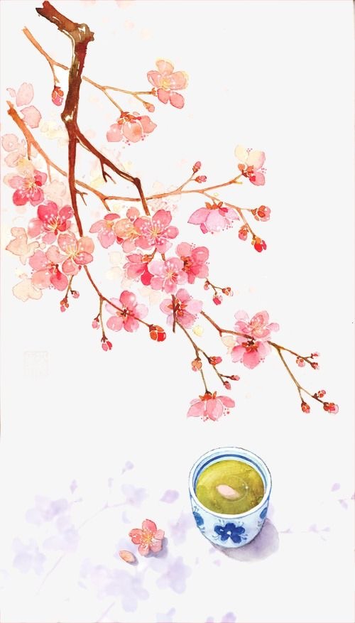 blossom