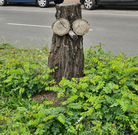 Baumkunst