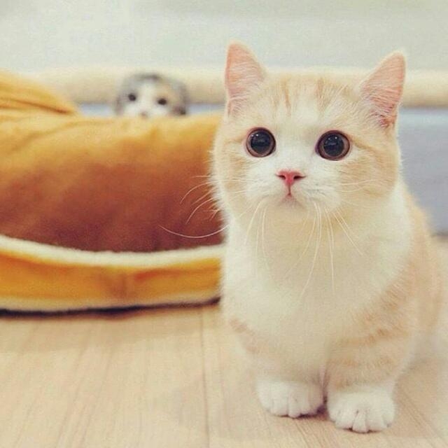 *_*