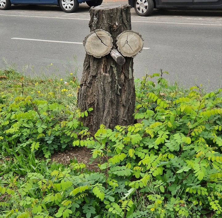 Baumkunst
